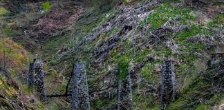 Željeznički stupovi u planini – ostaci Gutmanove željeznice