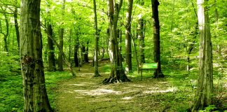 Poučna staza „Ružica grad“