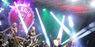 Beerfest